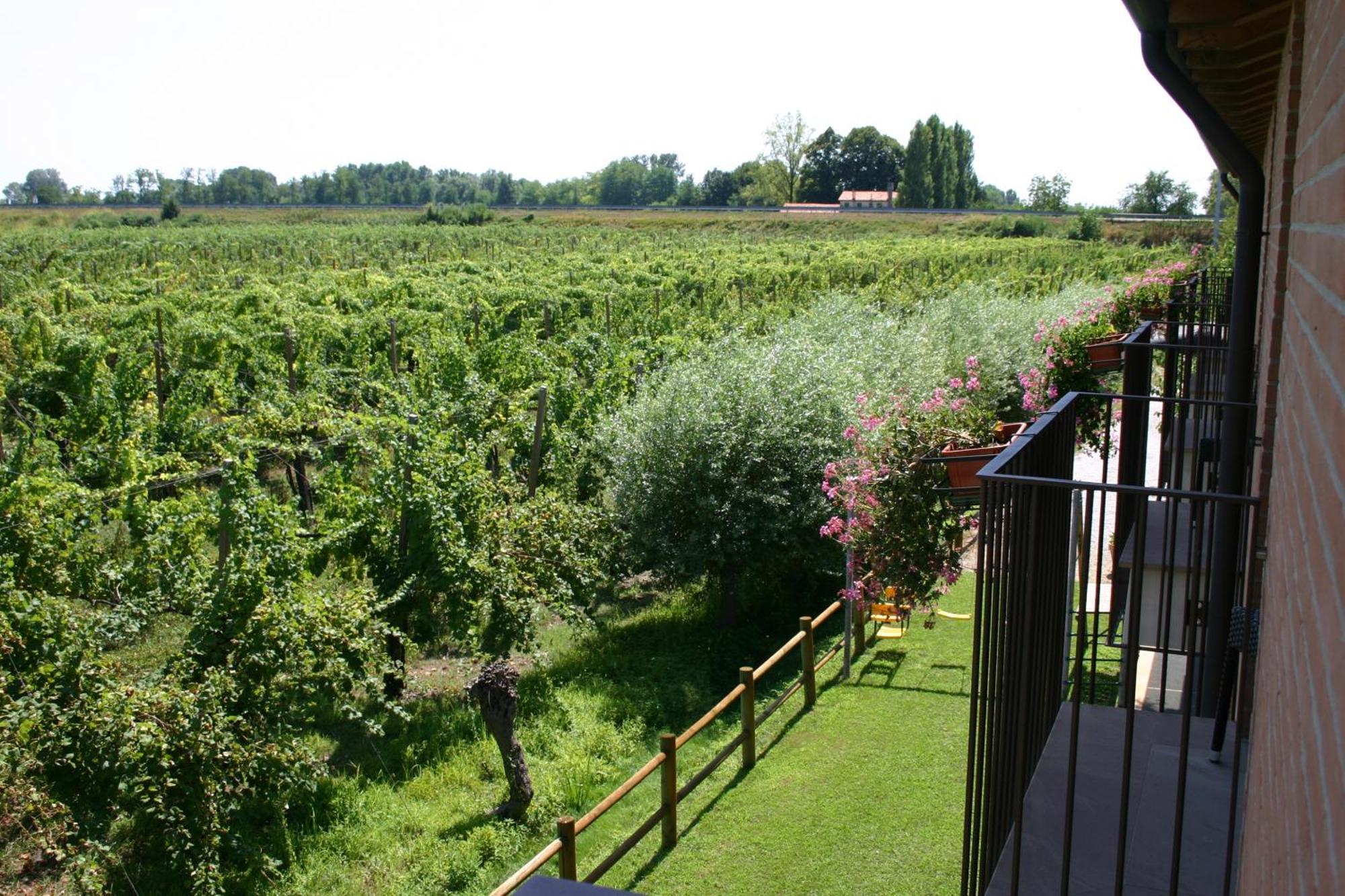 Borgo Ronchetto Relais&Gourmet Hotel Salgareda Buitenkant foto