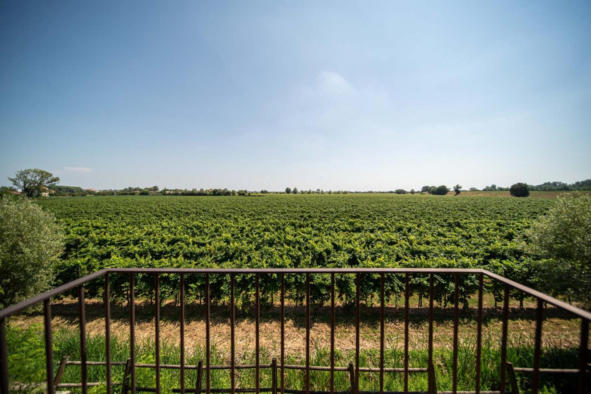 Borgo Ronchetto Relais&Gourmet Hotel Salgareda Buitenkant foto